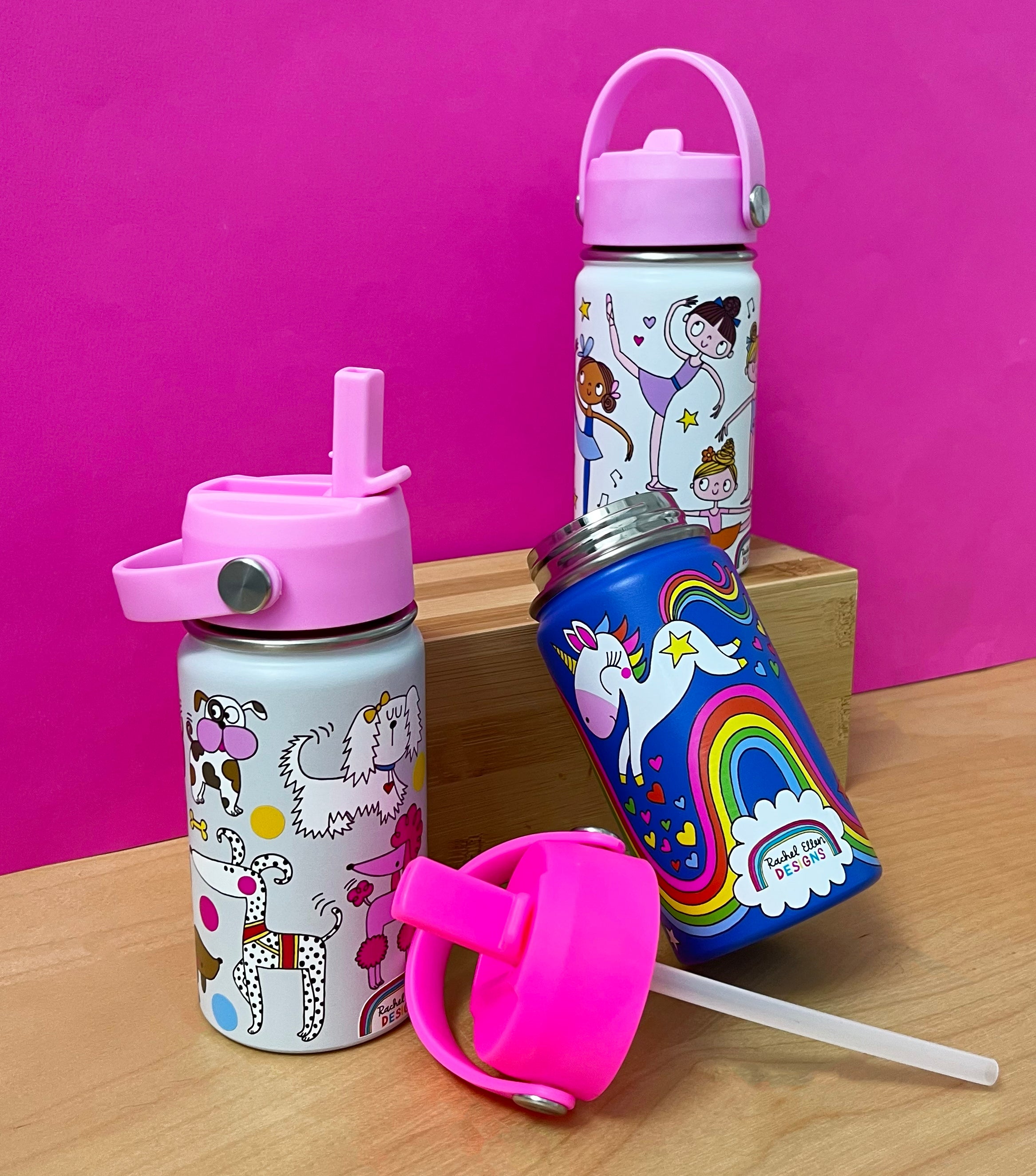 Stainless Steel Water Bottle - Ballet