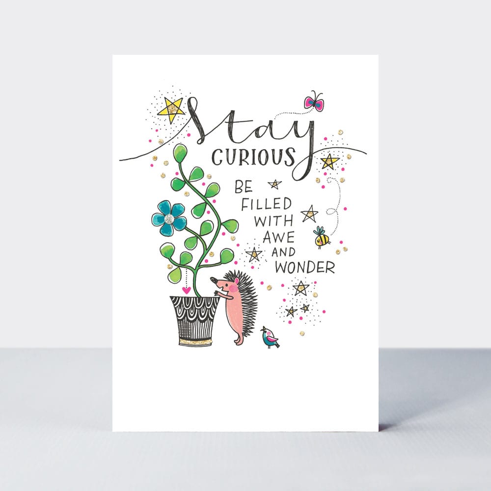 TLC - Stay curious/hedgehog & plant