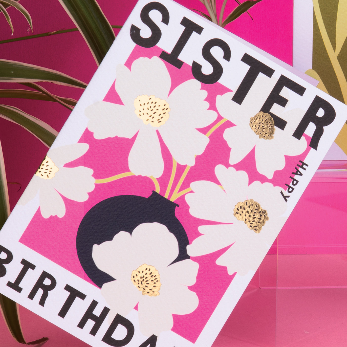 Belle - Sister Birthday/Pink Cosmos