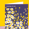 Belle - Thinking of You/Daisies