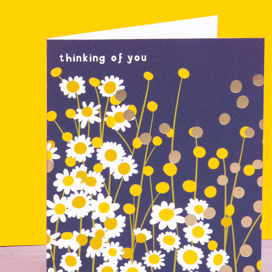 Belle - Thinking of You/Daisies