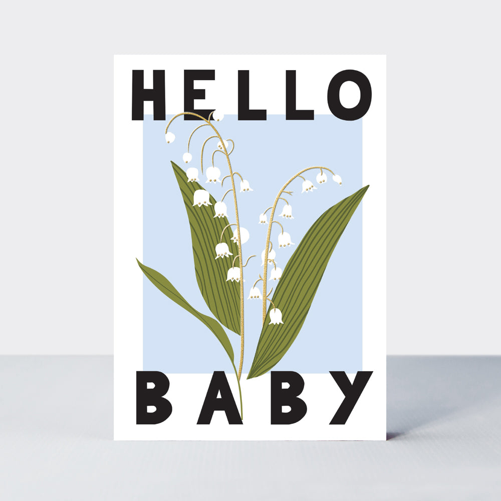 Belle - Hello Baby