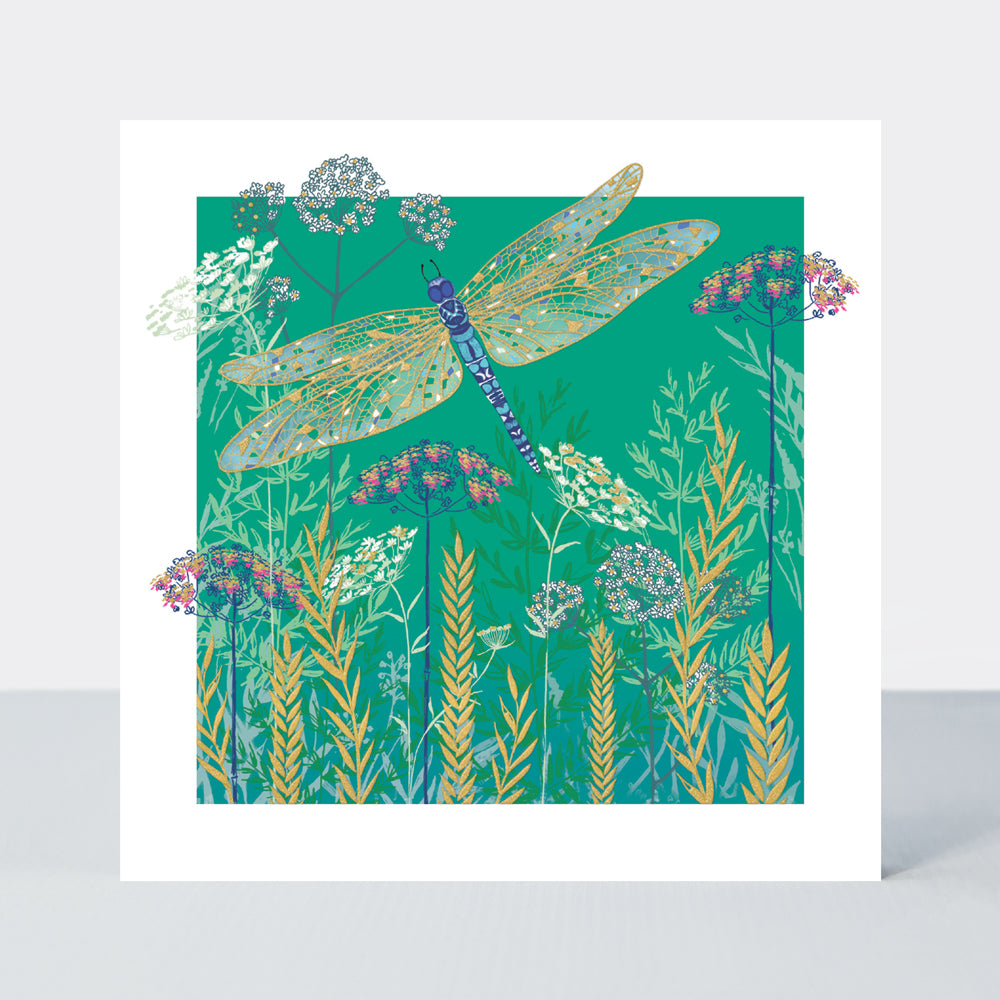 Gallery - Dragonfly