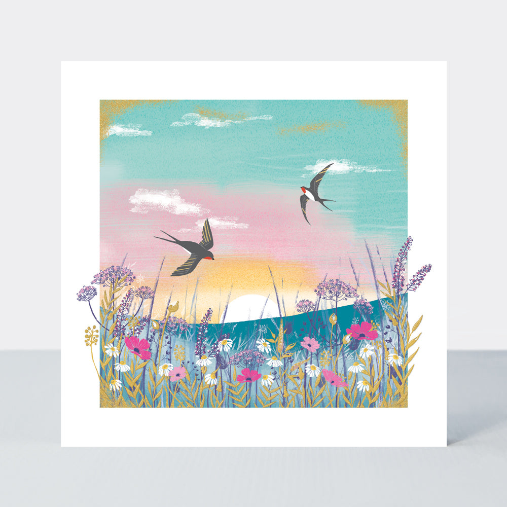 Gallery - Swallows