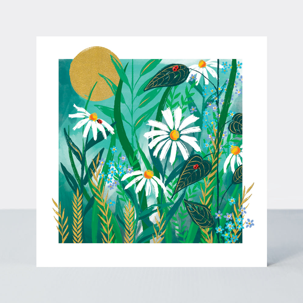 Gallery - Blank/Daisies On Teal