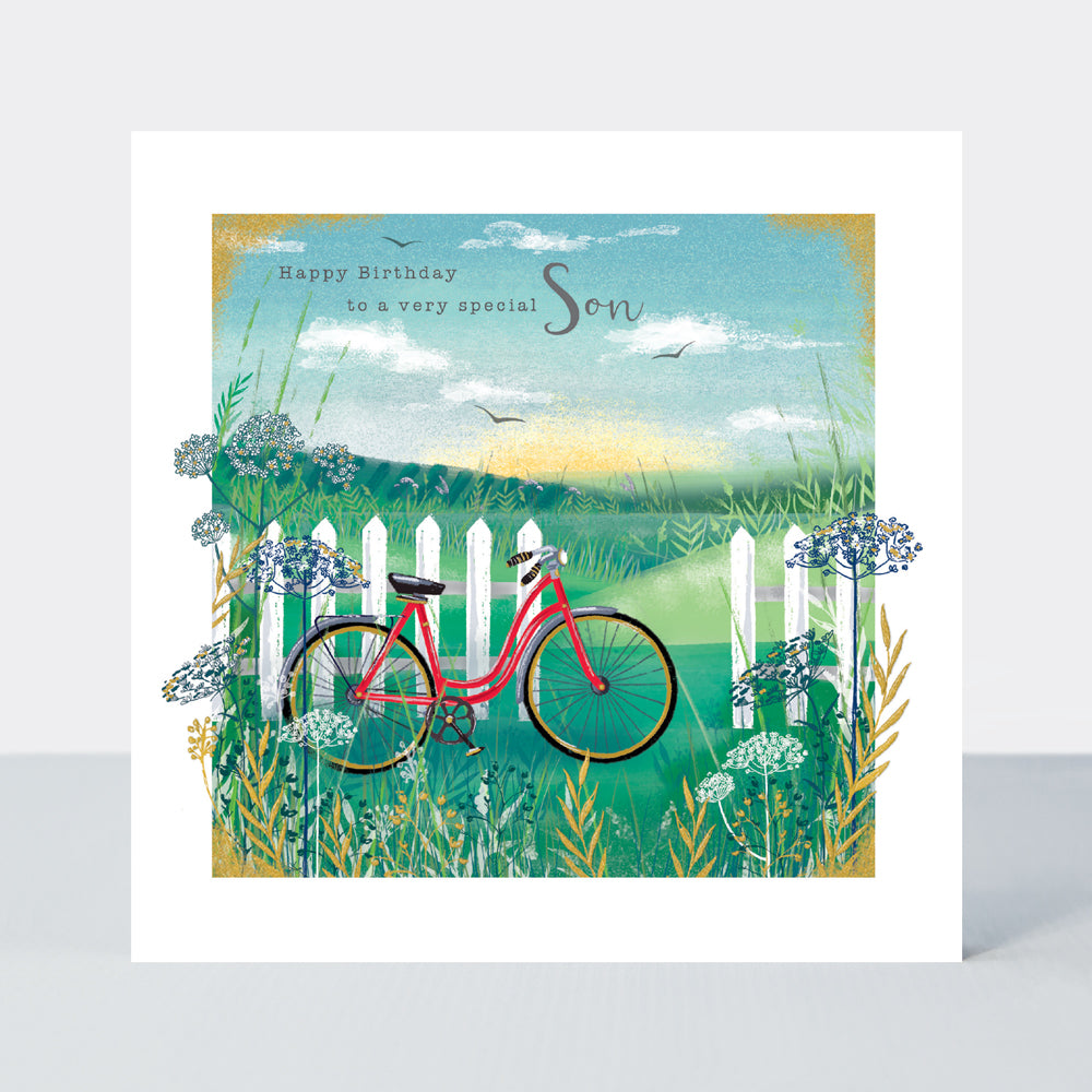 Gallery - Son Birthday/Bike On Fence