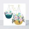 Mika - New Home/Hanging Baskets