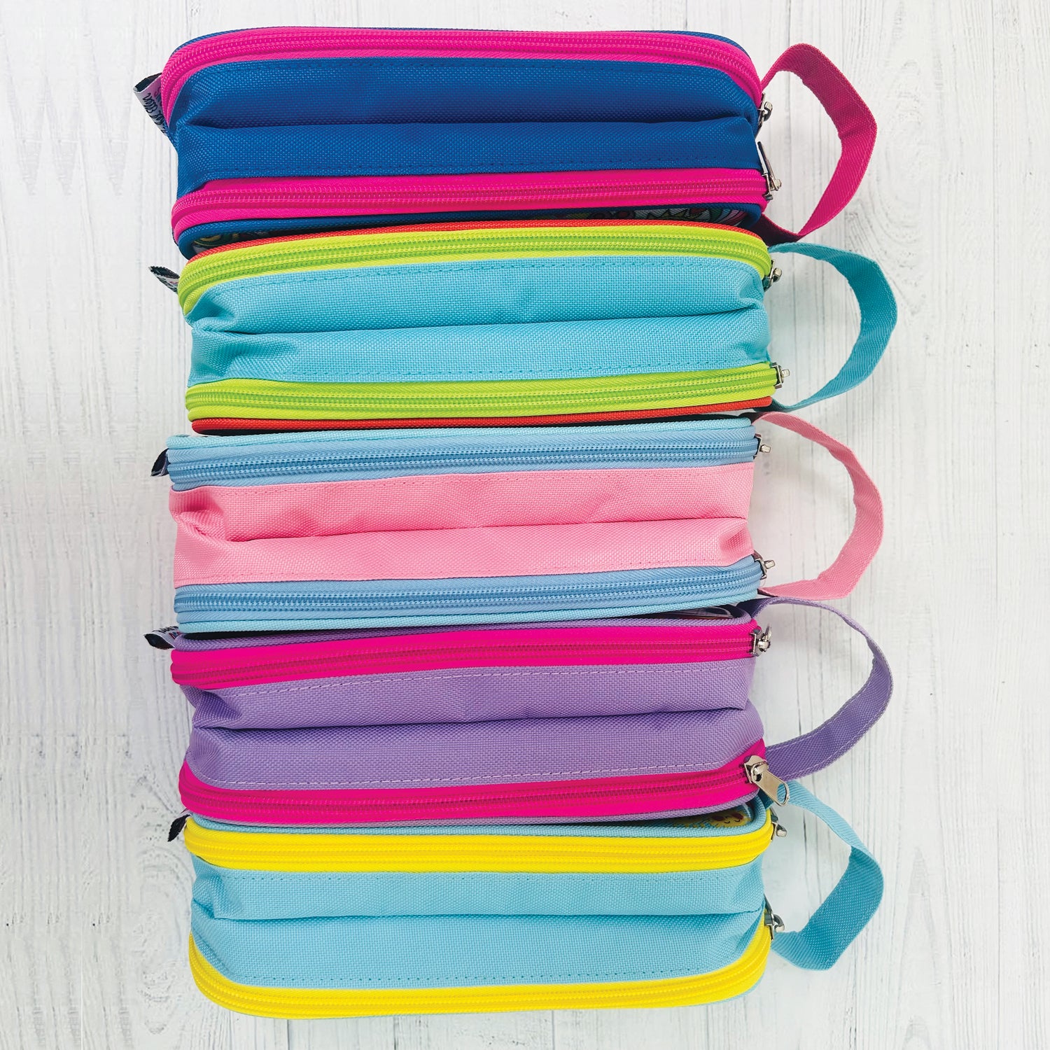 Pencil Case With Handle - Dinosaurs