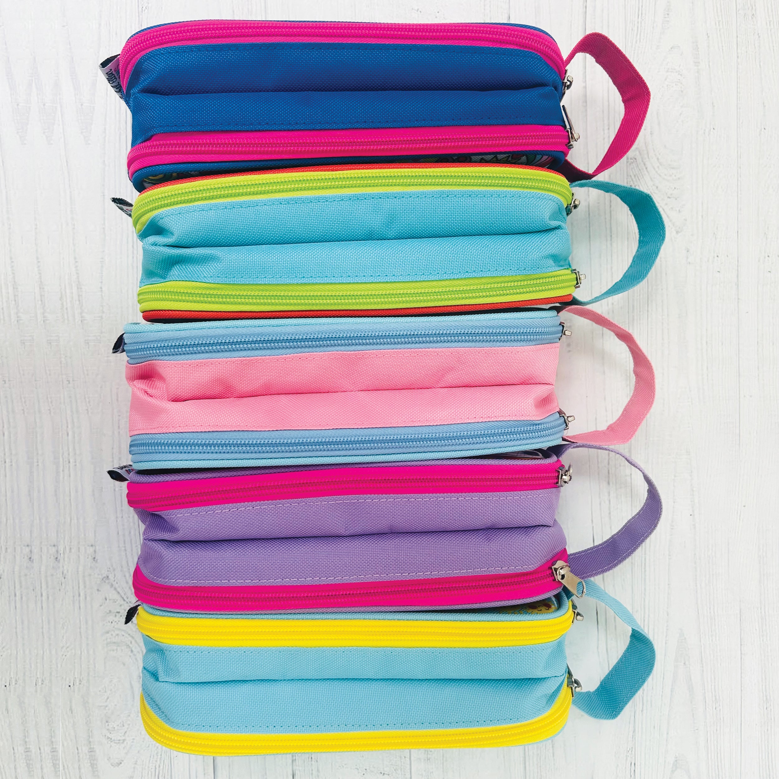 Pencil Case With Handle - Dinosaurs