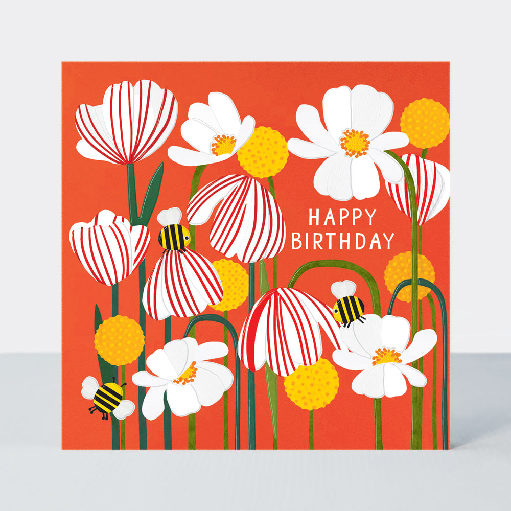 Paper Petals - Happy Birthday/Paper Cut Petals &amp; Seed Heads