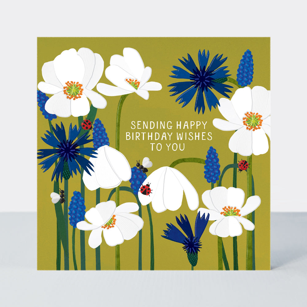 Paper Petals - Birthday Wishes to You/Paper Cut Petals &amp; Ladybirds