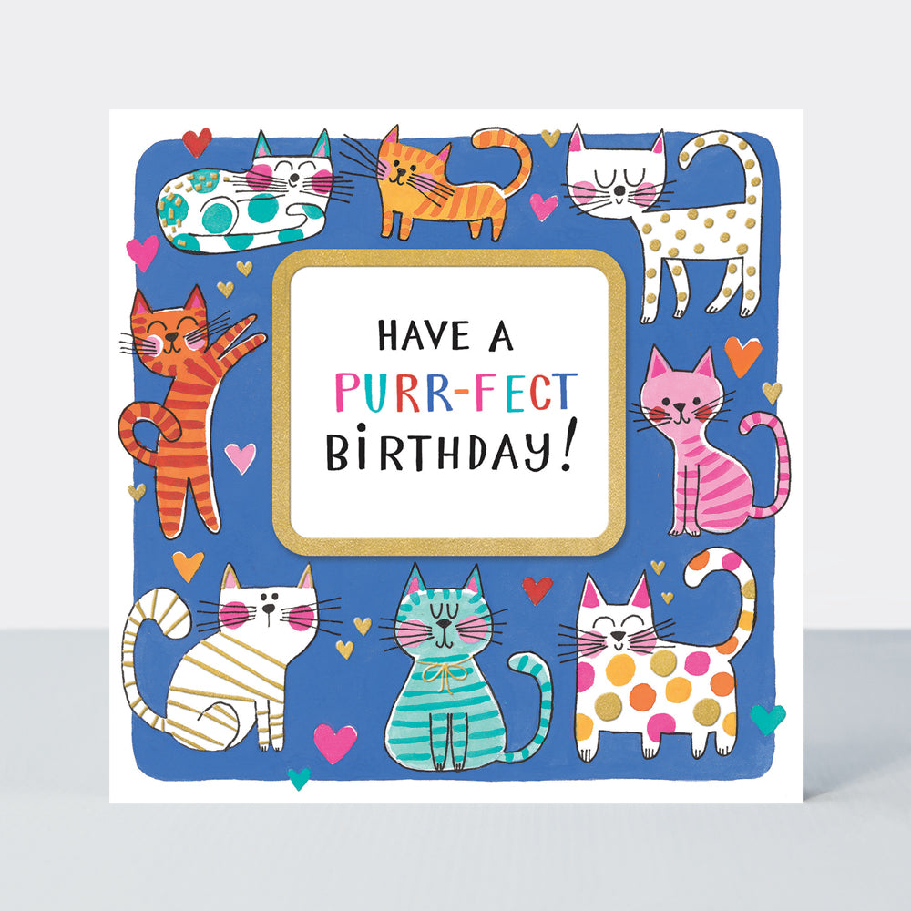Rhubarb - Purr-fect Birthday/Cats