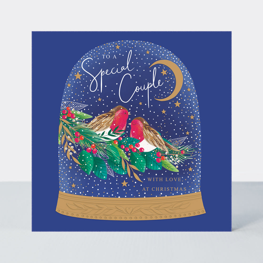 Cosy Christmas - Special Couple/Robins In A Snow Globe