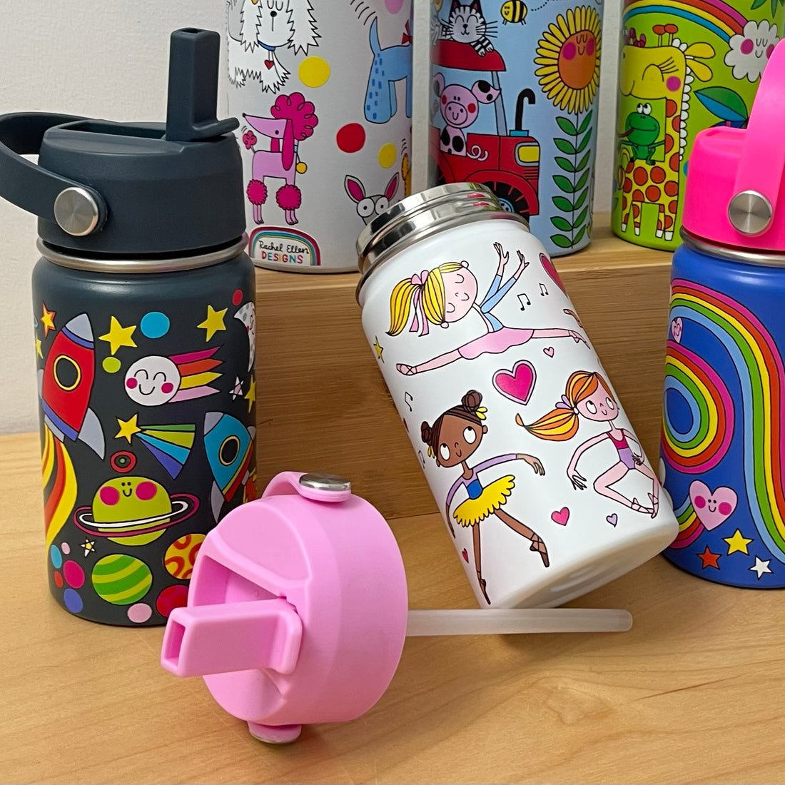 Stainless Steel Water Bottle - Ballet